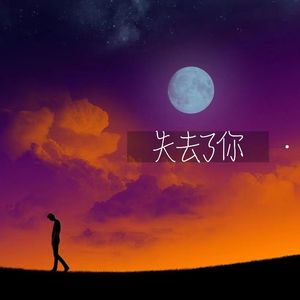失去了你