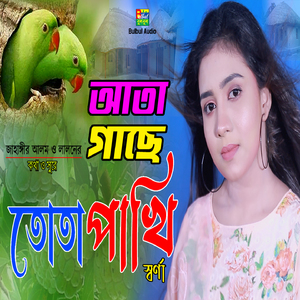 Ata Gache Tuta Pakhi