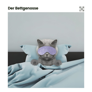 Musiknoten für die Katze