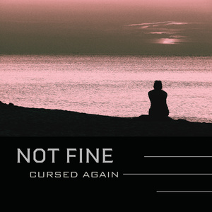 Not fine