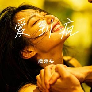 爱到疯