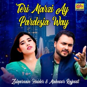 Teri Marzi Ay Pardesia Way