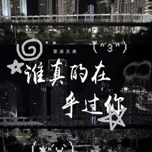 谁真的在乎过你 (空灵对唱版)