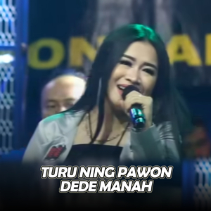 Turu Ning Pawon (Live Version)