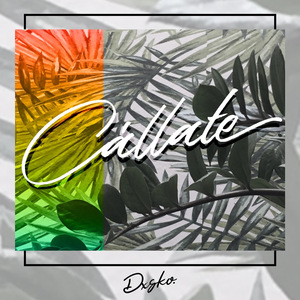 Cállate