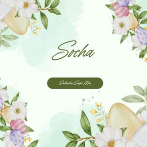 Socha (feat. Saumya Baraili)