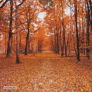 champagne problems (Piano Version)