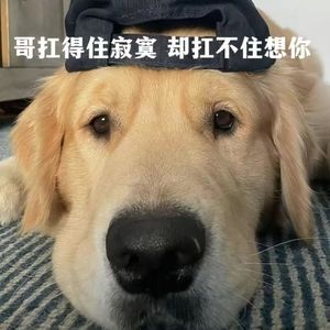 胆小鬼（prod.by Rick1y）