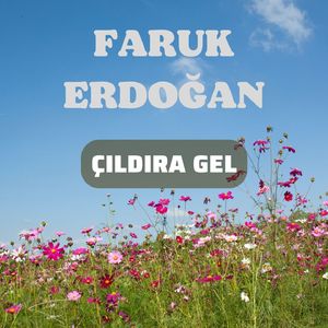 Çıldıra Gel