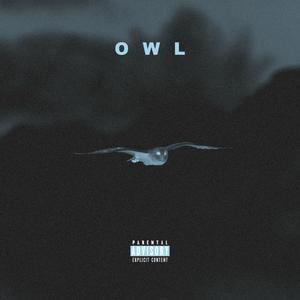 O W L