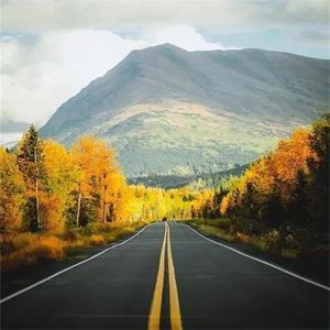 樱桃路小丸子