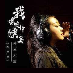 我像风中候鸟渴望天空