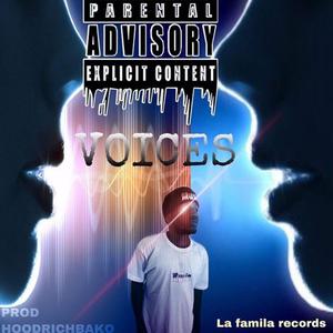 Voices
