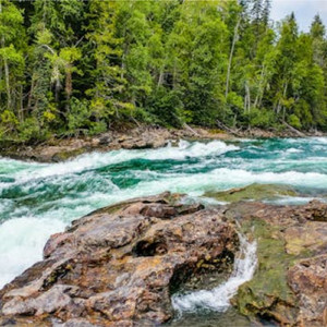 草原的呼唤（沉浸式钢琴曲）