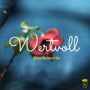 Wertvoll (Instrumental)