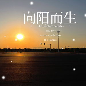 向阳而生.MAV