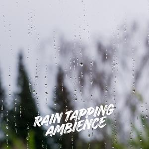 Rain Tapping Ambience