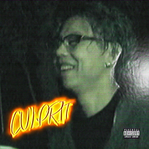 PARANORMAL ACTIVITY(鬼影实录)