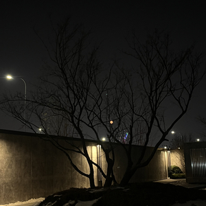 无情画-纯音乐(片段)