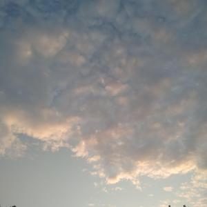 岑宁儿-总而言之（KANGKANG ）