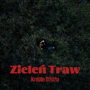 Zieleń Traw
