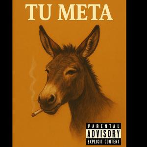 Tu meta
