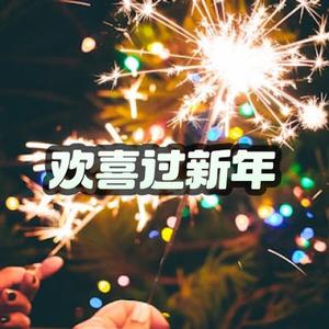 欢欢喜喜过新年