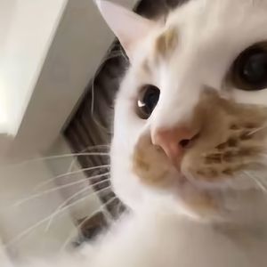 岁月情长