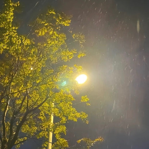 山水河旁