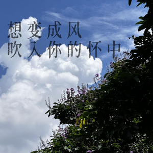 想变成风吹入你的怀中