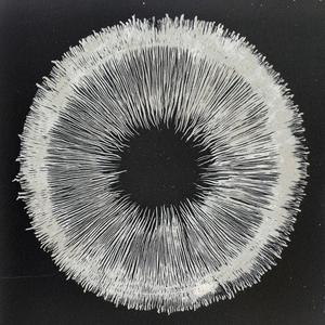 Spore (Sunrise Edit)