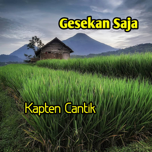 Gesekan Saja