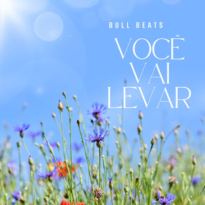 Você Vai Levar (Phonk)