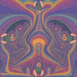 BIRDY TUNE SONG P dollarcoop