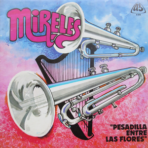 Alcaravan Compañero