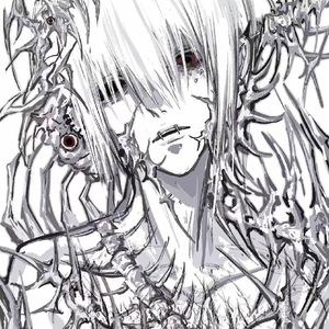 《信风未赴之约》