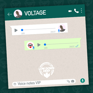 Voice Notes (VIP)