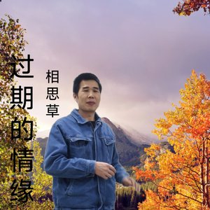 过期的情缘
