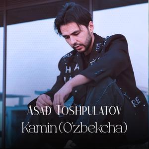 Kamin (O'zbekcha)