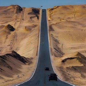 每日新生向未来