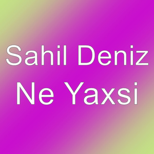 Ne Yaxsi