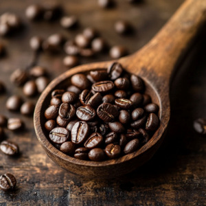 スノーフォール・セレナーデ