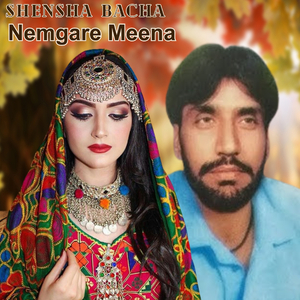 Nemgare Meena