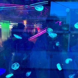 平行的世界在十二月交汇