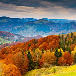 风姿花传-陶笛（翻自 谷村新司）