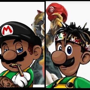 Mario luigi
