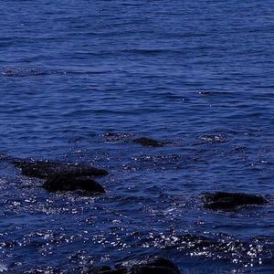 人啊（翻自 徐佳莹）