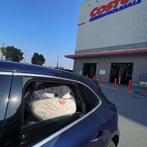 按下幸福的永恒快门