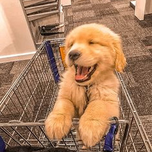 Blancanieves (slowed)