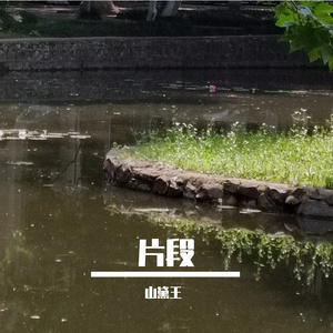 观鹤（片段翻唱）